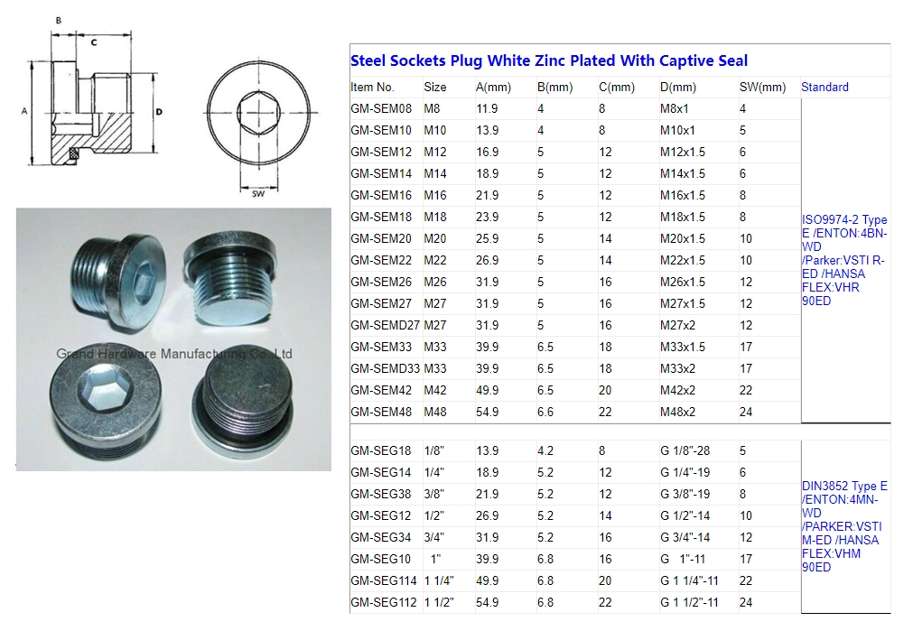 Steel Sockets Plug White Zinc Plated With Captive Seal.jpg